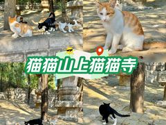 -四门塔风景区