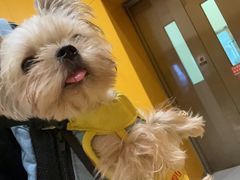 -FAELING PETS美天灵宠物(富力广场店)