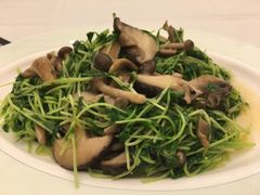 -翠园(铜锣湾广场店)