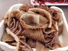 -官塘陈记鱼生·潮汕砂锅粥·牛肉火锅(潮枫路总店)