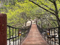 -崂山九水游览区