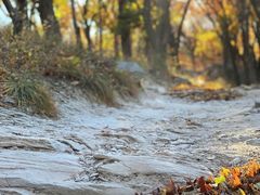 -北京西山国家森林公园