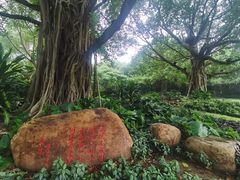 -南宁南湖公园