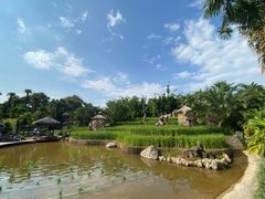 -云南民族村
