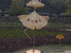 -千年银杏谷文化旅游区