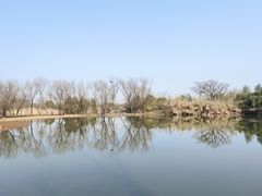 -西溪国家湿地公园