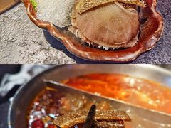 毛肚-湊湊火锅·茶憩(新中关购物中心店)
