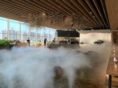 -Seesaw Coffee(朝阳大悦城店)