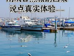 -巧克力渔家.小船海鲜胶东菜(万平口店)