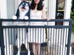 -TrueLove @ Neverland (Husky Cafe)