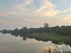 -鹤之洲湿地公园