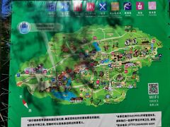 -青青世界