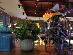 -蝴蝶汇音乐酒馆(罗湖店)