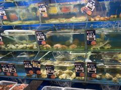-小船渔村•大连菜•大连焖鱼(明泽街店)