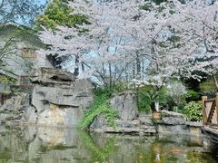 -南山植物园