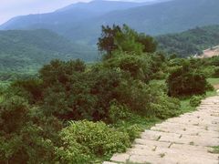 -大姆山草场