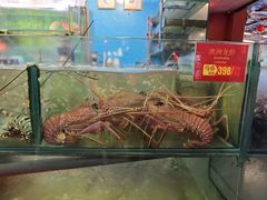 -大茄来海鲜餐厅(亚洲城分行)