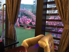 -新兴·金羊座·粤菜点心(乐峰店)