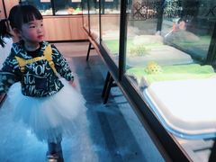 -宠物世家(仲盛世界商城店)