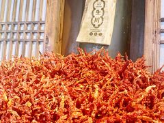 -張飛牛肉(锦里店)