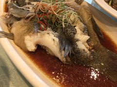 笋壳鱼-老人和饭店(打浦路店)