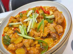 黄焖泰山走地鸡-鑫悦诚府·新鲁菜·餐厅(趵突泉店)