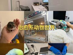 -立德异宠动物医院.兔鸟爬.内窥镜(天河店)