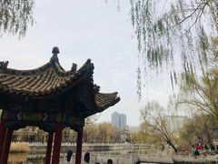-文瀛公园