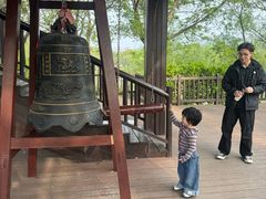 -长兴太湖图影湿地文化园