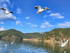 -丽江泸沽湖景区