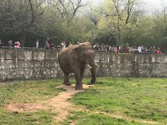 -西安秦岭野生动物园
