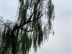 -颐和园
