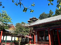 -宫事颐庭·老佛爷贵寿下午茶(颐和园店)