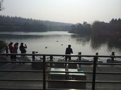 IMG_4798-上海怡沁园度假酒店