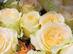 -谷莠子花艺·气球派对·绿植造景·花艺沙龙(金光华广场店)