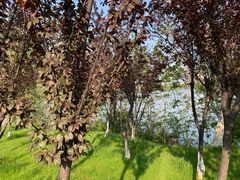 -艾溪湖湿地公园