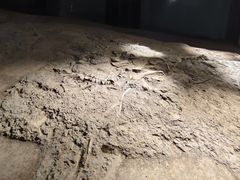 -世界恐龙谷景区