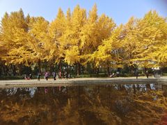 -玲珑塔公园