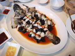 古法蒸石斑-利苑酒家(金宝店)