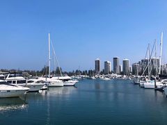 -黄金海岸