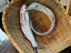 -宁波柏悦酒店·钱湖渔港