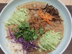 五彩拉皮大份-王厚元饺子·辽菜·烤鸭(黄河大街店)