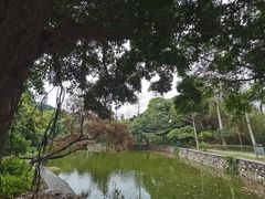 -广州市白云山风景名胜区