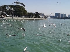-蠡湖大桥公园