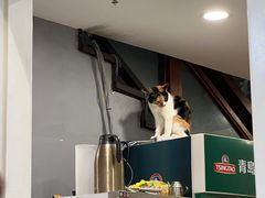 -吉友粥底火锅(方斜路店)