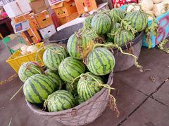 -上海龙吴水胜海发市场