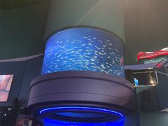 -瑞普利水族馆