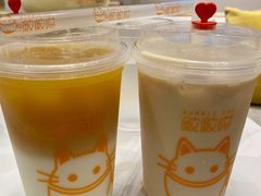 啵啵奶绿-啵啵喵·猫咖(攀华国际店)