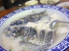 -全乐鱼馆·淳牌有机鱼直营店