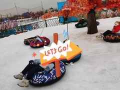 -绿野森林乐园冰雪季